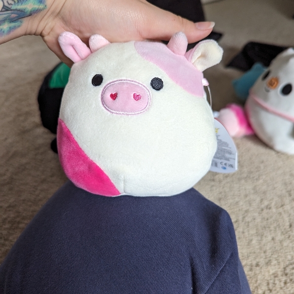 Caedyn 5 Inch Squishmallow Valentines Day - Picture 5 of 5